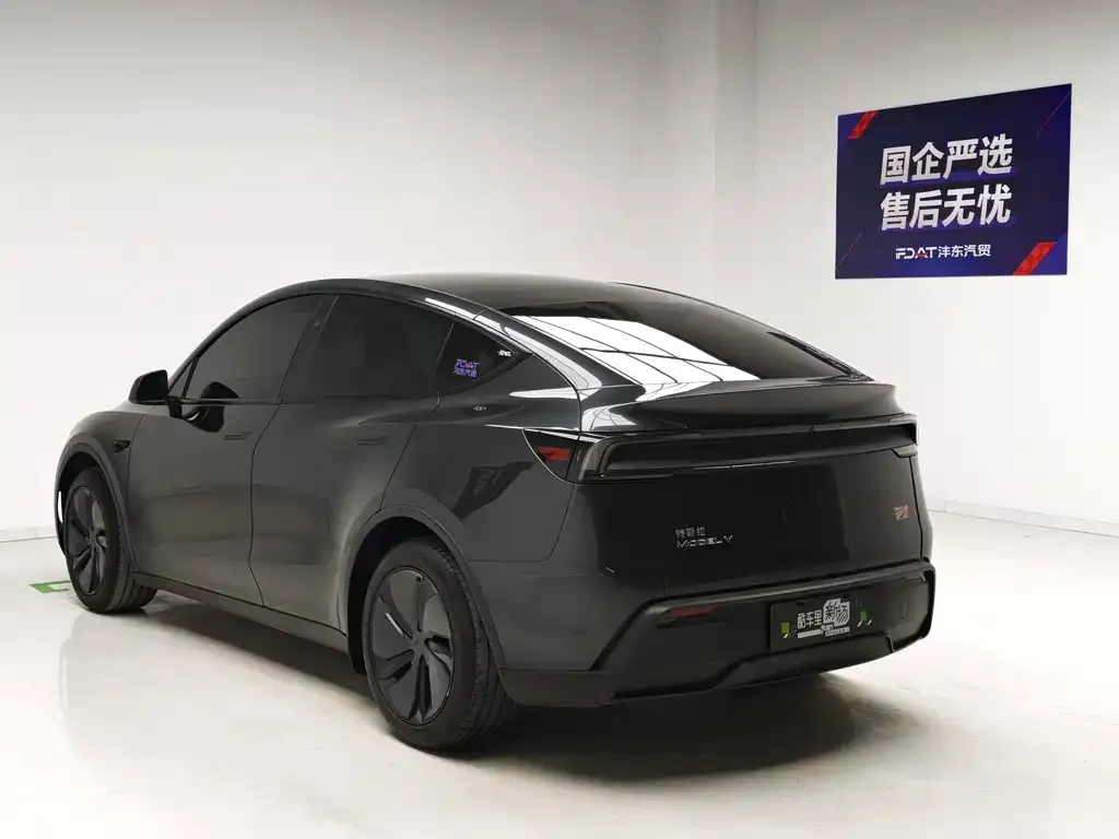 Tesla Model Y — фото 2