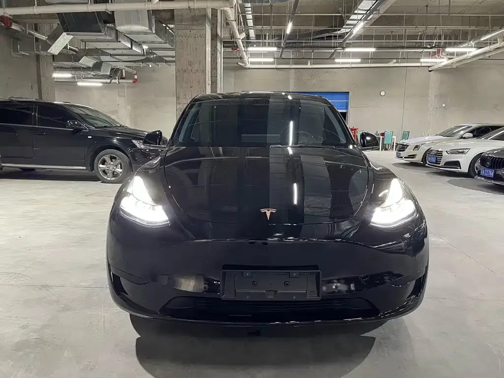 Tesla Model Y — фото 6