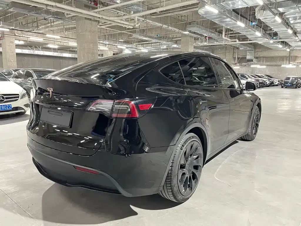 Tesla Model Y — фото 2