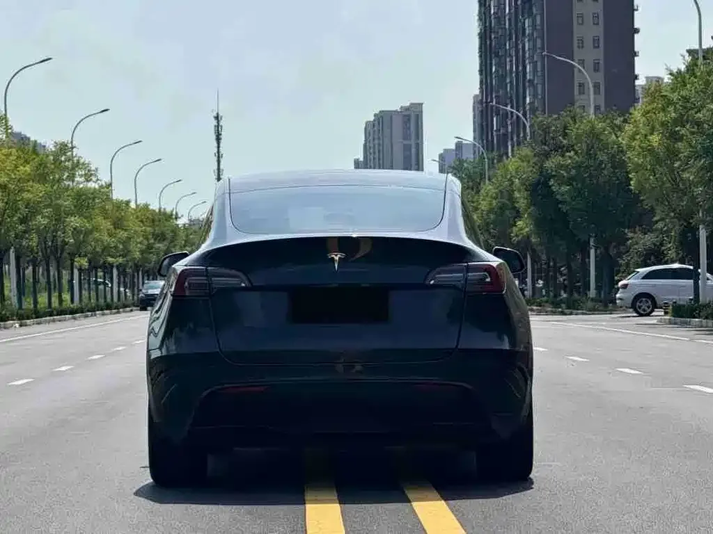 Tesla Model Y — фото 4