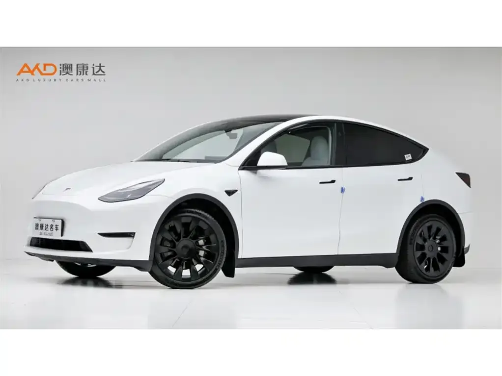 Tesla Model Y — фото 1