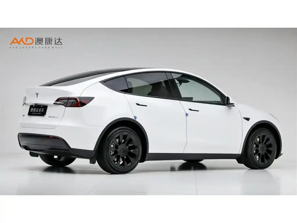 Tesla Model Y — фото 7