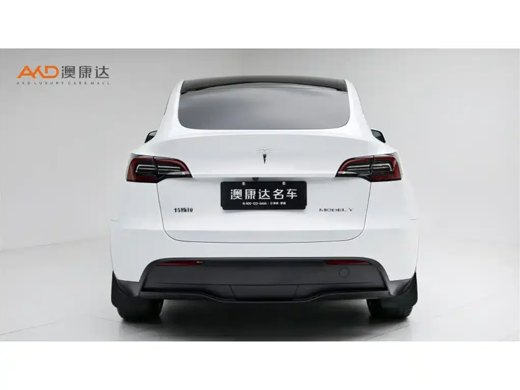 Tesla Model Y — фото 8