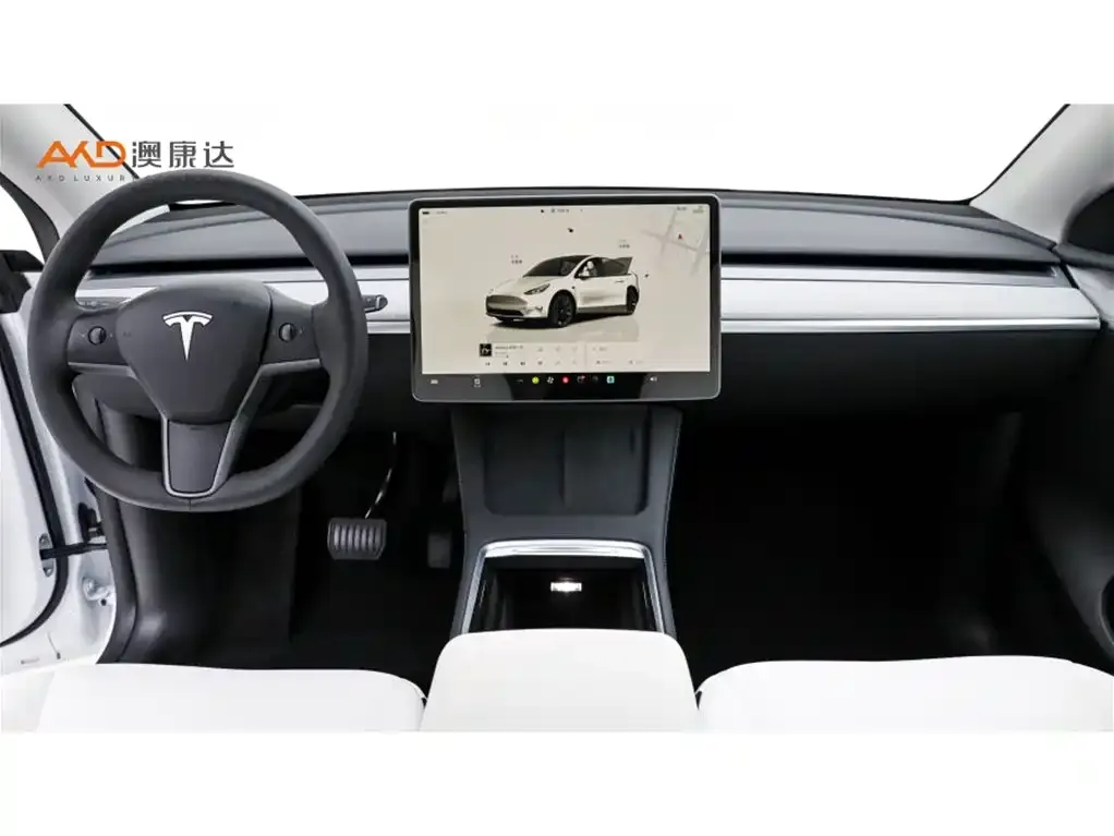 Tesla Model Y — фото 10