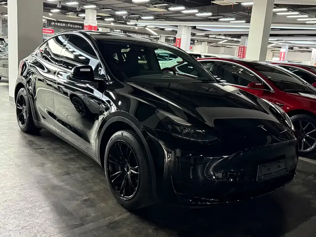 Tesla Model Y — фото 10