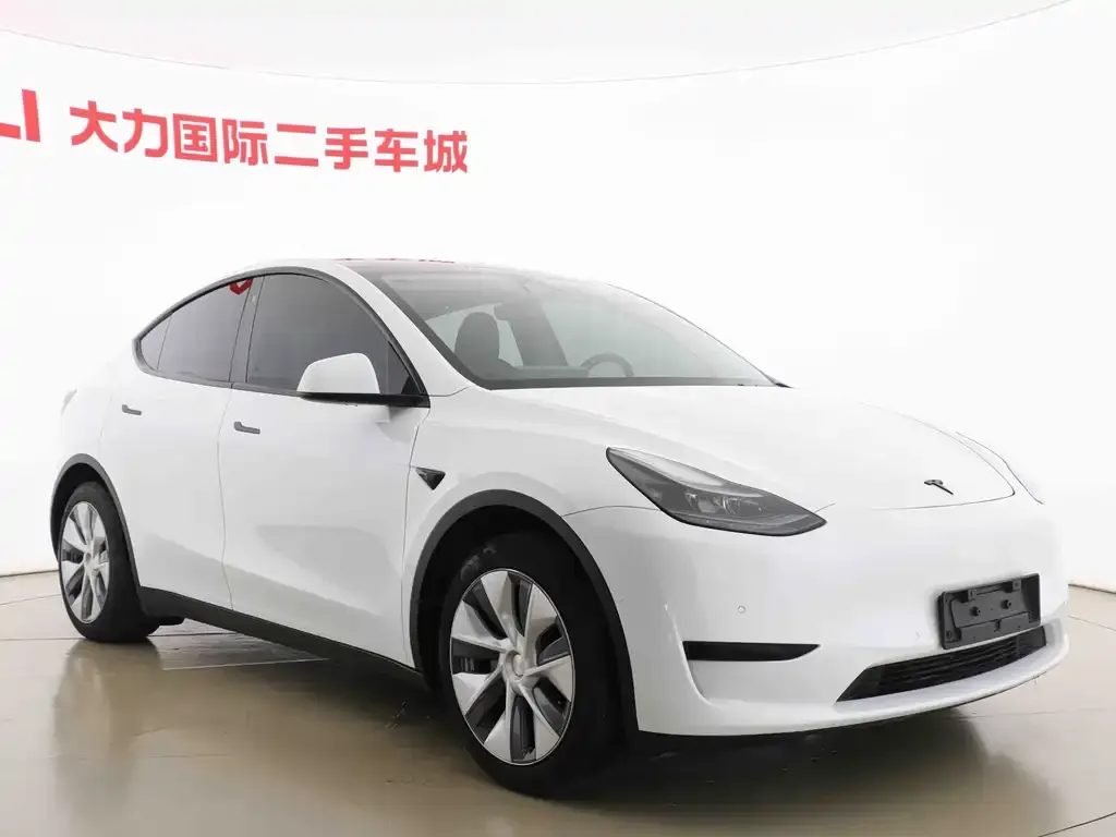 Tesla Model Y — фото 8