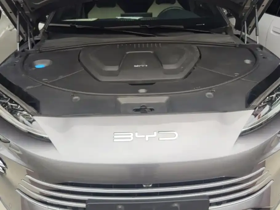 BYD PLUS New Energy — фото 10