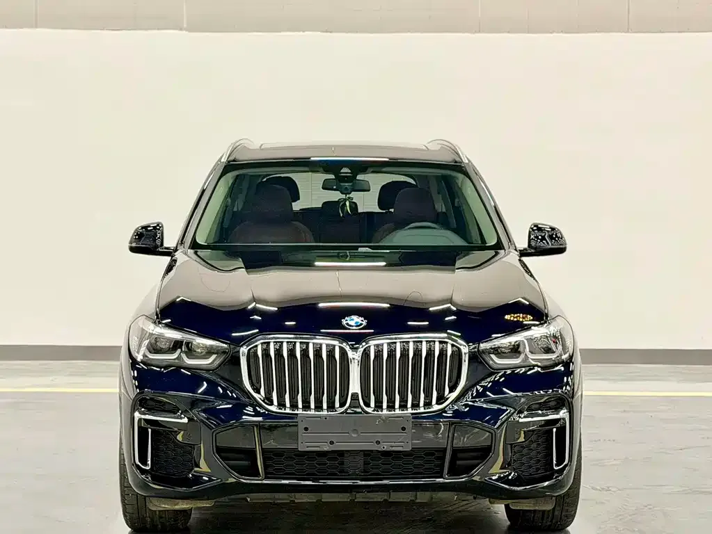 BMW X5 — фото 8