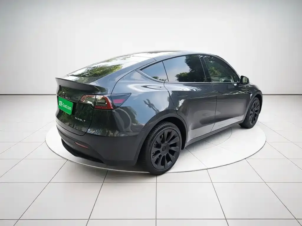 Tesla Model Y — фото 9