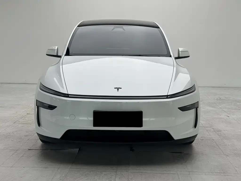 Tesla Model Y L — фото 1