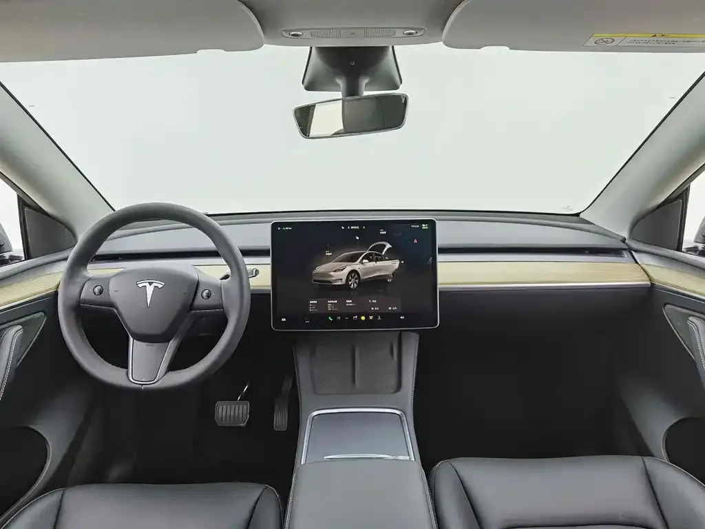 Tesla Model Y — фото 2