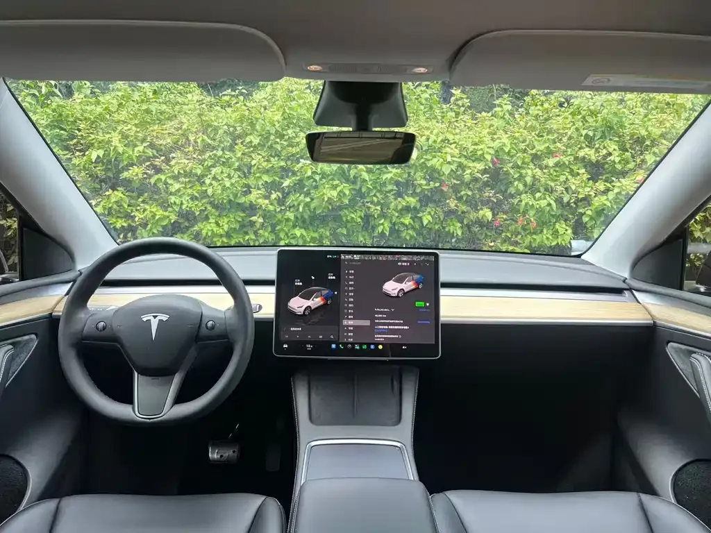 Tesla Model Y — фото 8