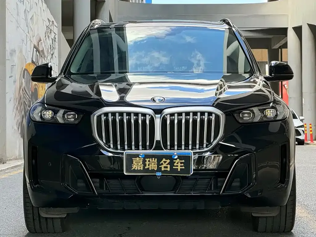 BMW X5 — фото 4