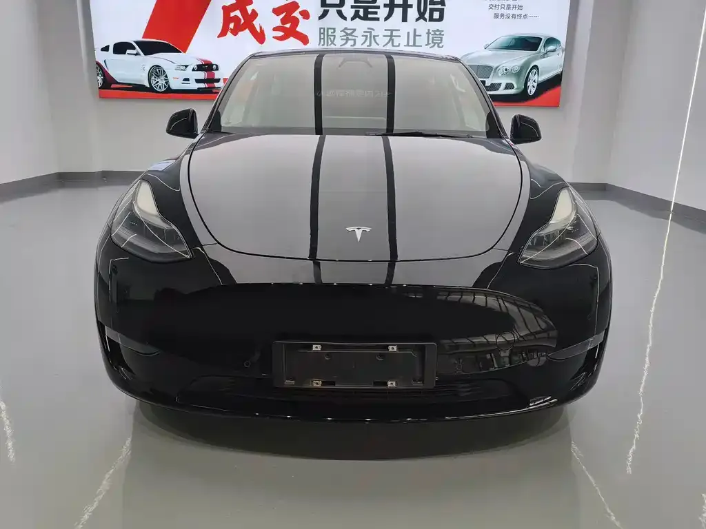 Tesla Model Y — фото 4