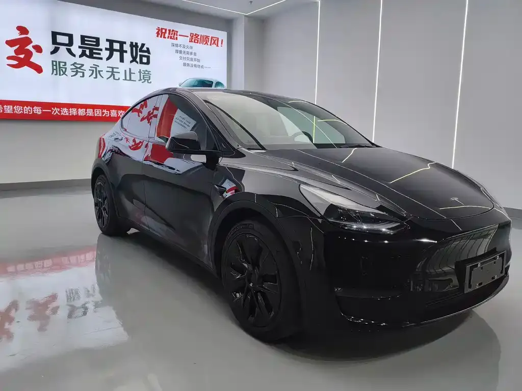 Tesla Model Y — фото 10