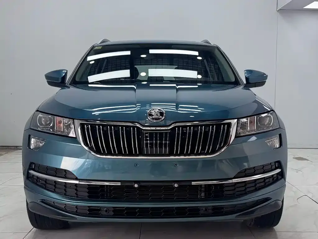 Skoda Karoq — фото 7