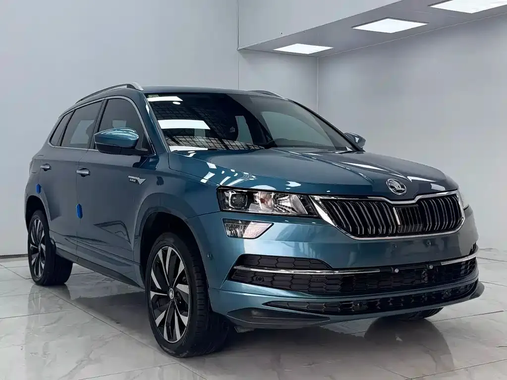 Skoda Karoq — фото 6