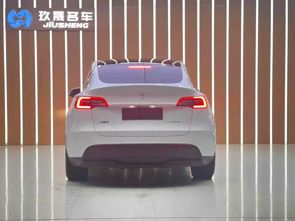 Tesla Model Y — фото 4