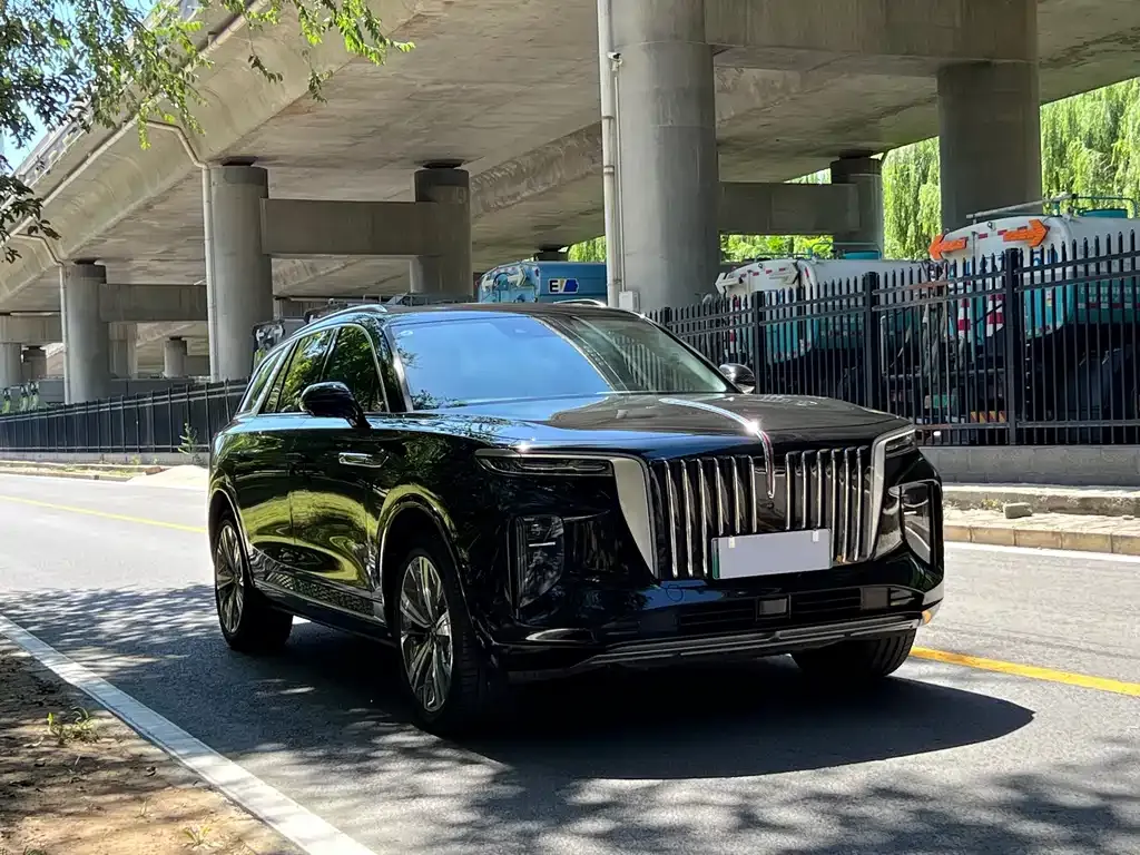 Hongqi E-HS9 — фото 4