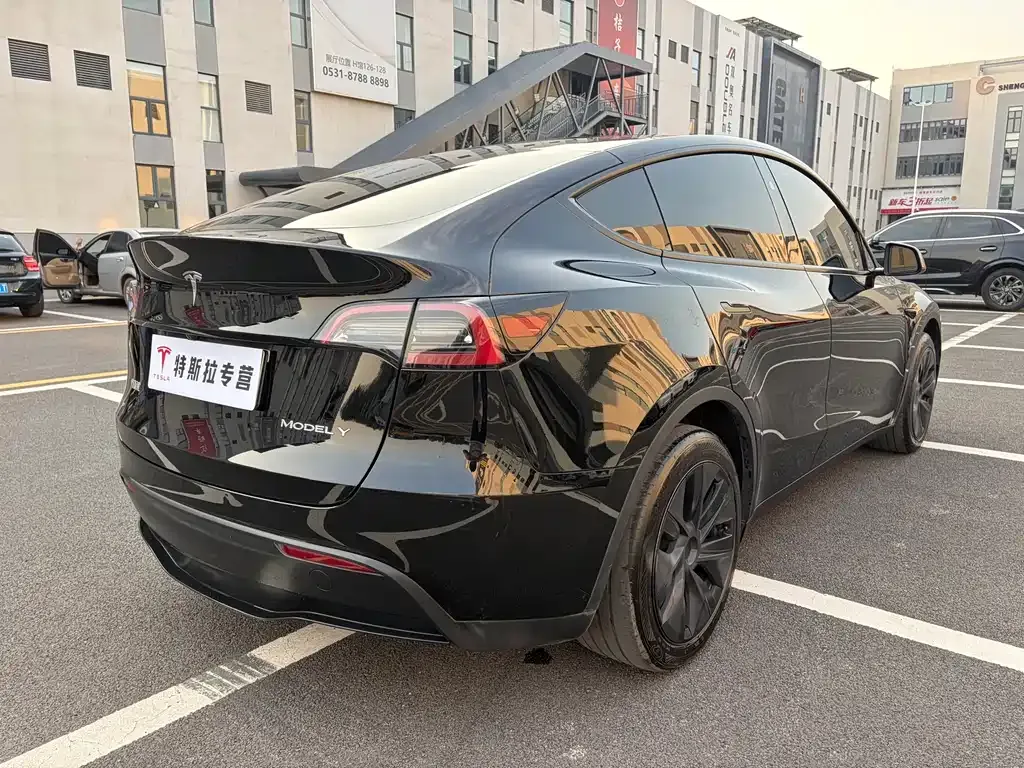 Tesla Model Y — фото 8