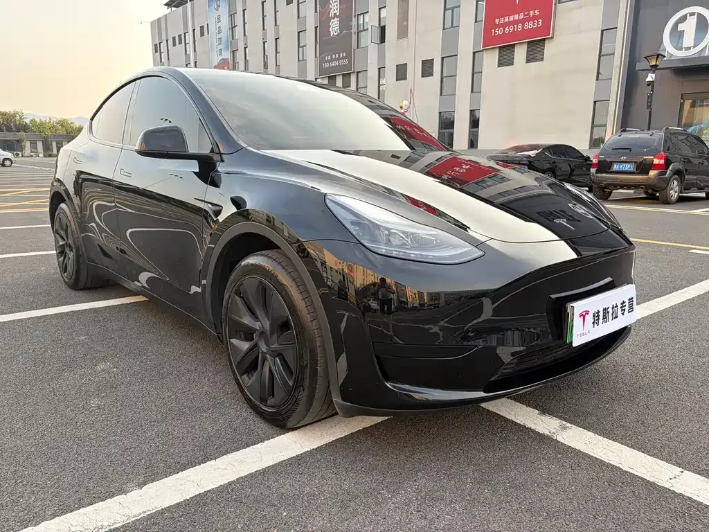 Tesla Model Y — фото 10