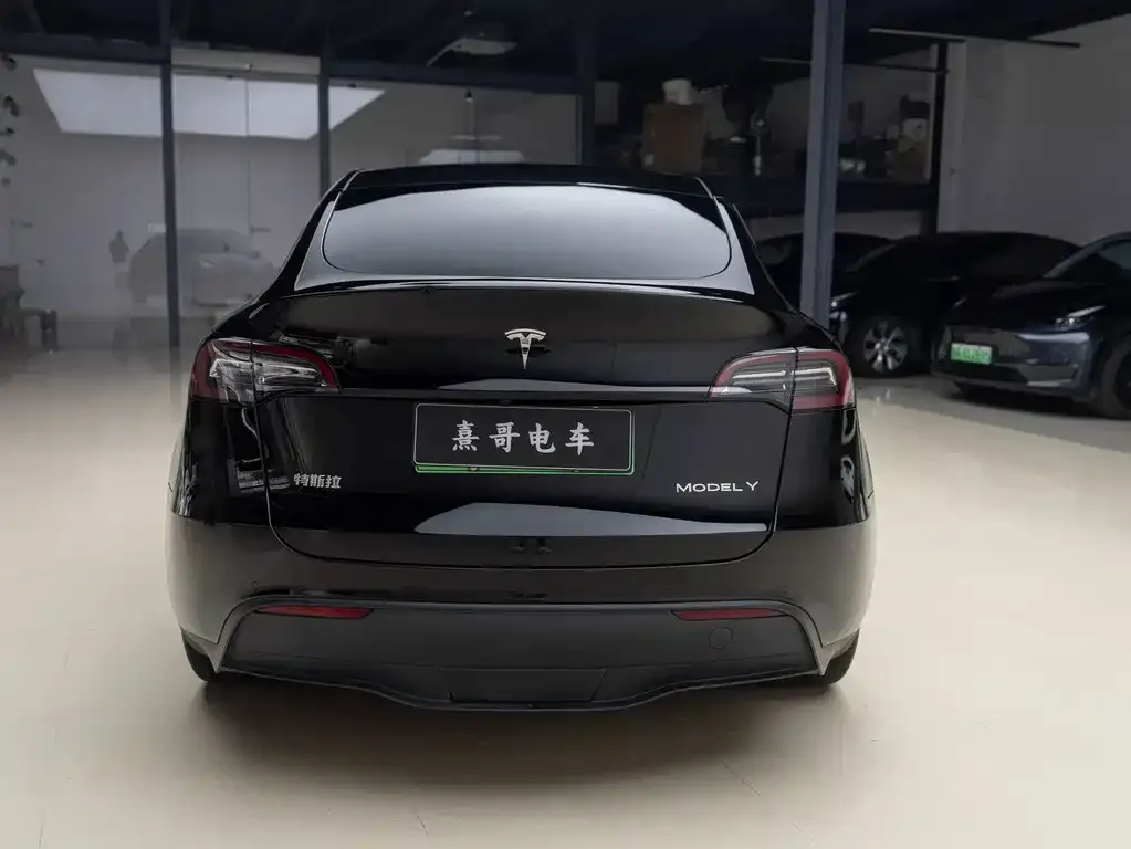 Tesla Model Y — фото 3