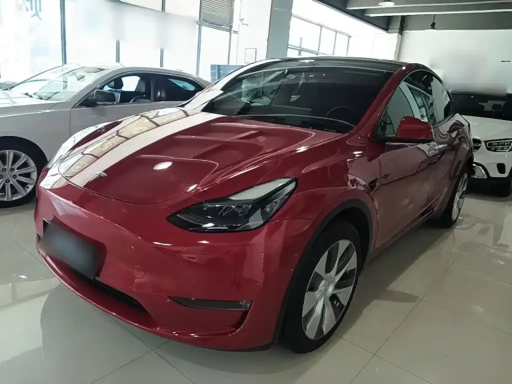 Tesla Model Y — фото 8