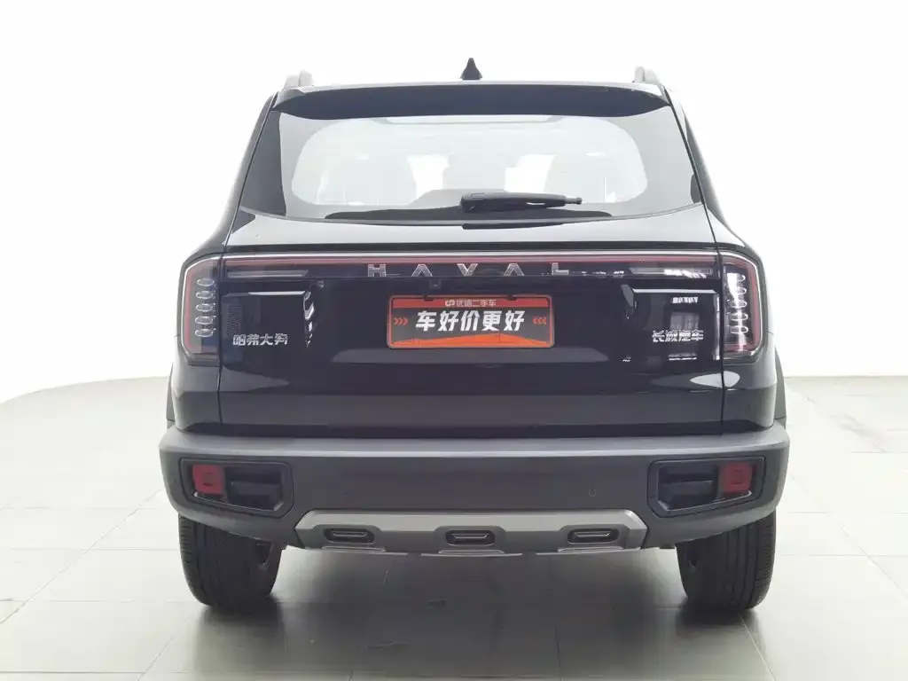Haval Big Dog — фото 5