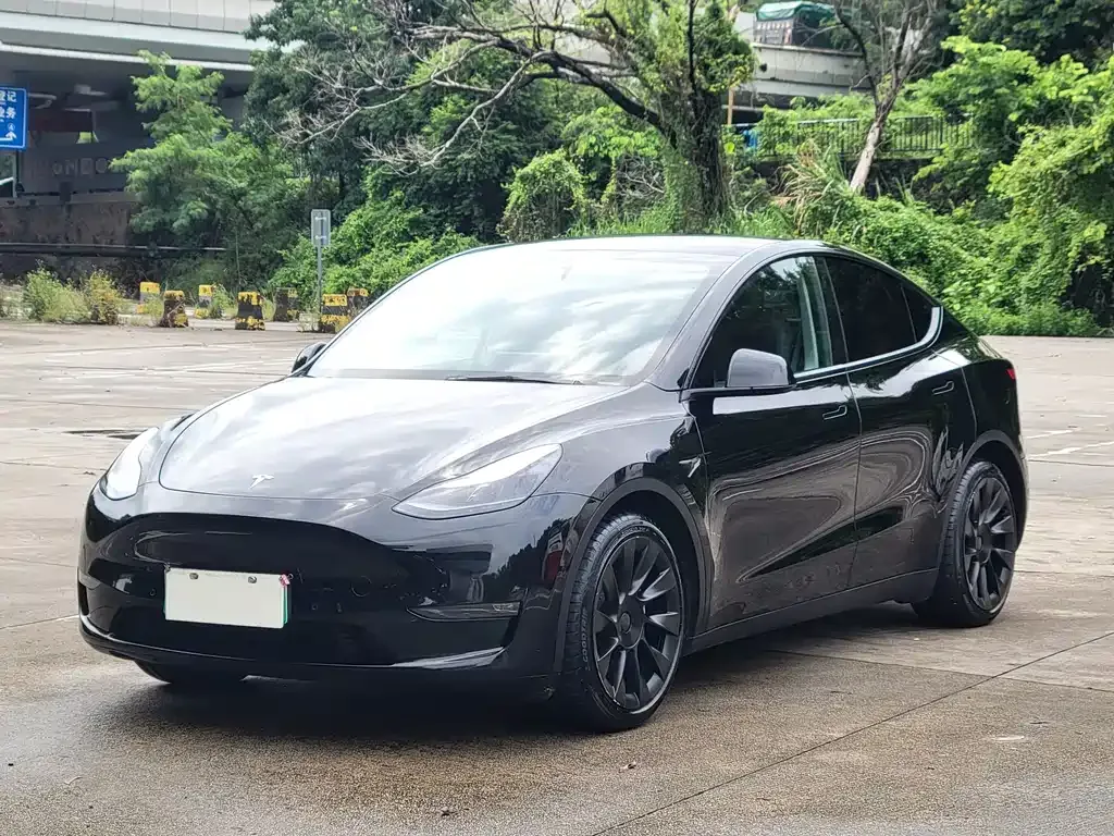 Tesla Model Y — фото 1
