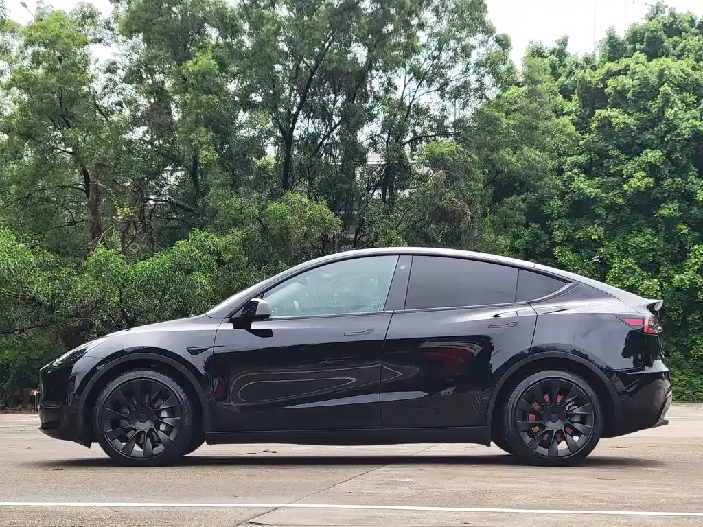 Tesla Model Y — фото 10
