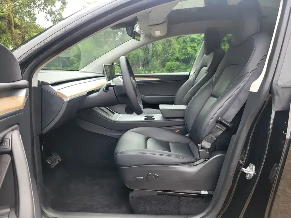 Tesla Model Y — фото 2