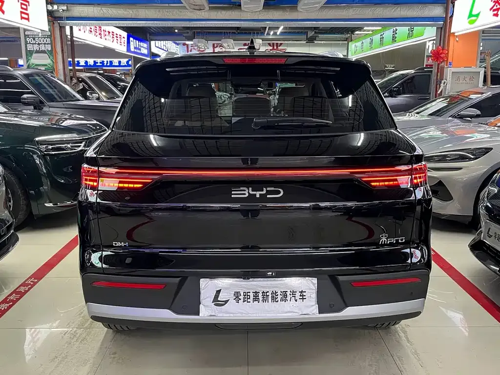 BYD Pro New Energy — фото 8