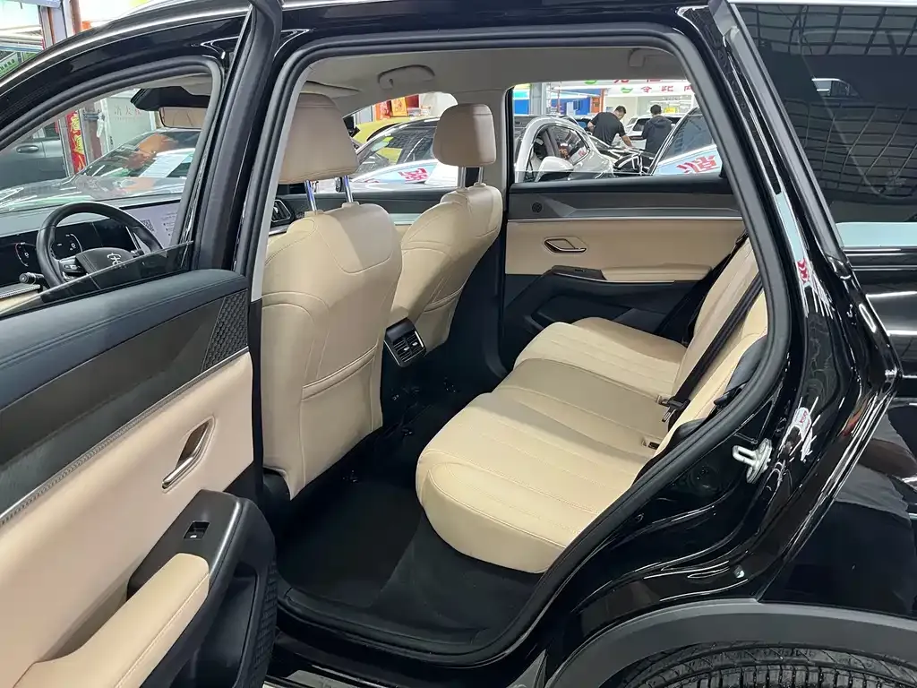 BYD Pro New Energy — фото 5