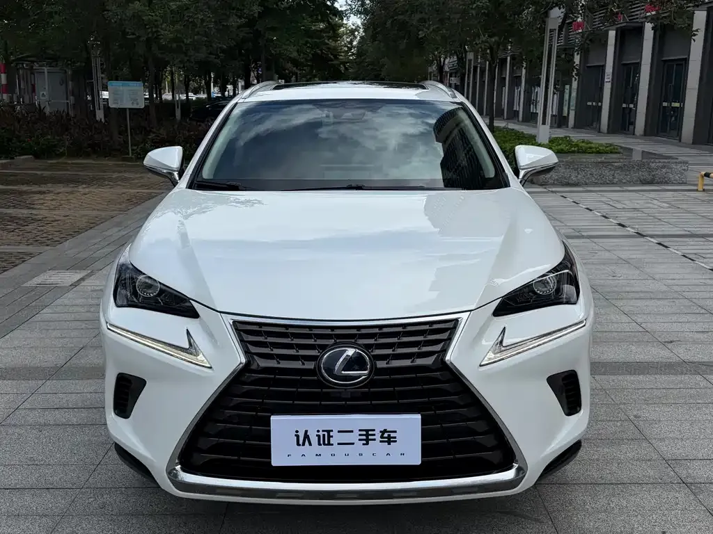 Lexus NX — фото 3