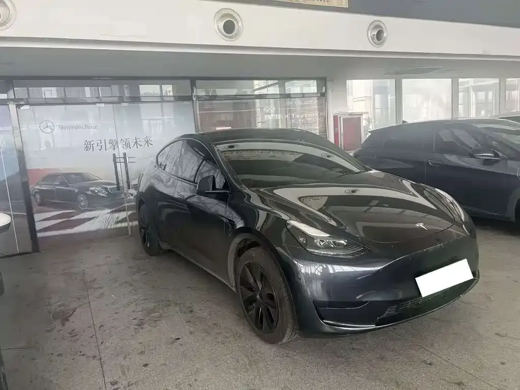 Tesla Model Y — фото 1