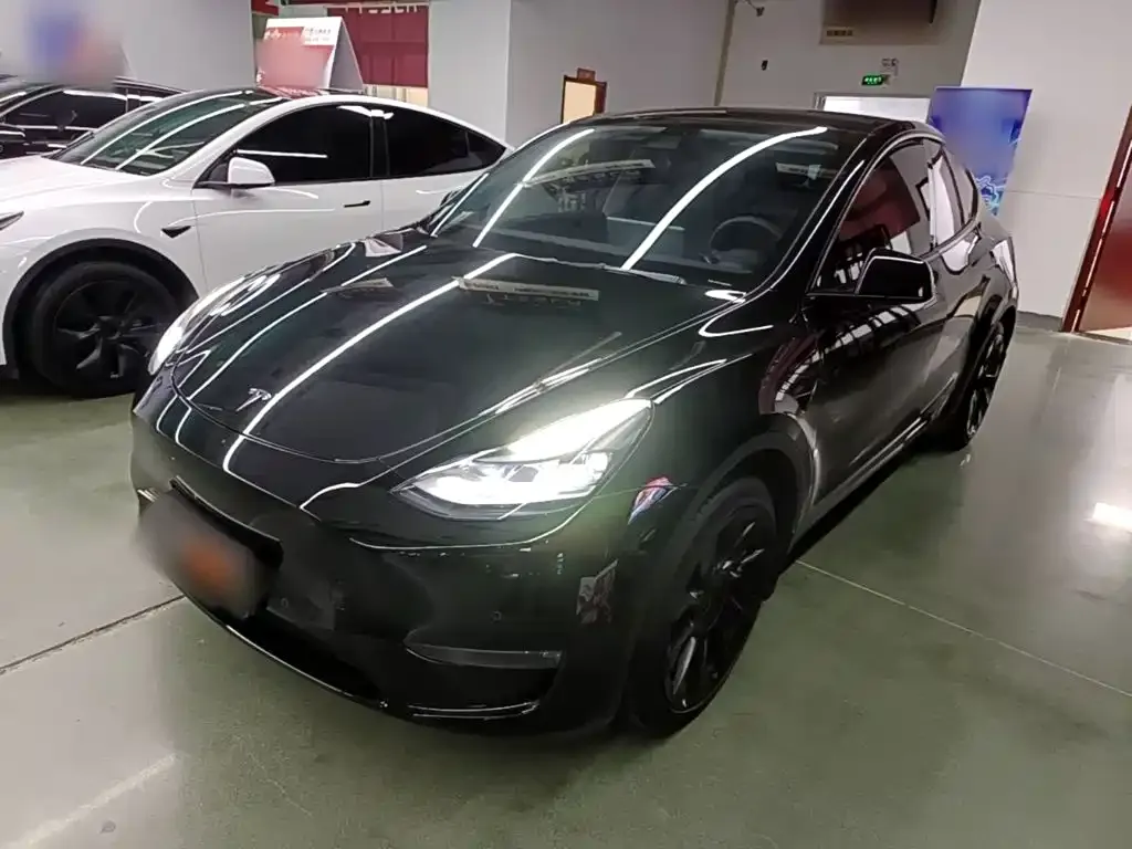 Tesla Model Y — фото 1