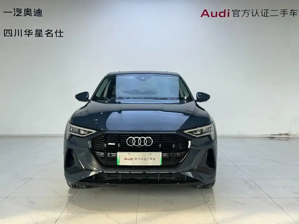 Audi e-tron (Import) — фото 4