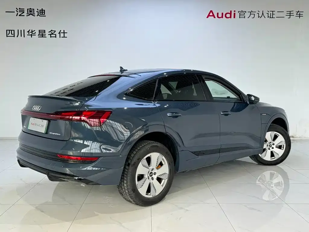 Audi e-tron (Import) — фото 9
