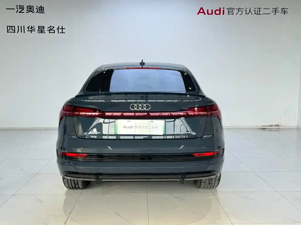 Audi e-tron (Import) — фото 5