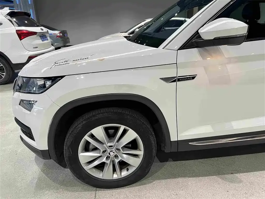 Skoda Kodiaq — фото 8