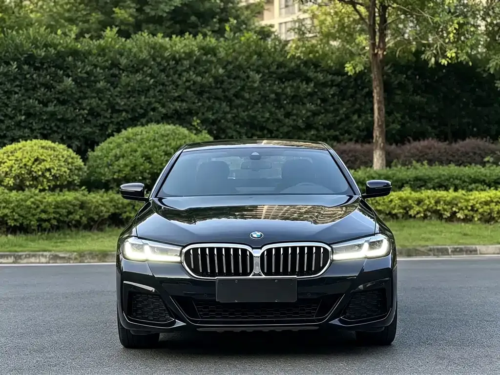 BMW 5 Series — фото 3