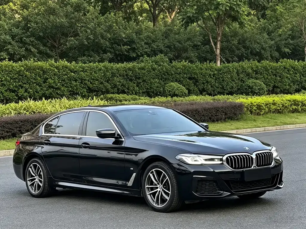BMW 5 Series — фото 6