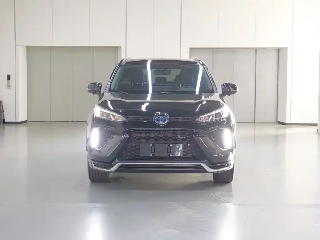 Toyota Wildlander New Energy — фото 2
