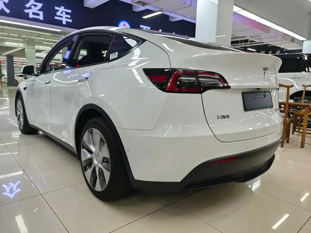 Tesla Model Y — фото 9