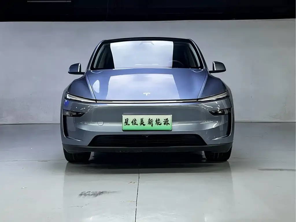 Tesla Model Y — фото 9