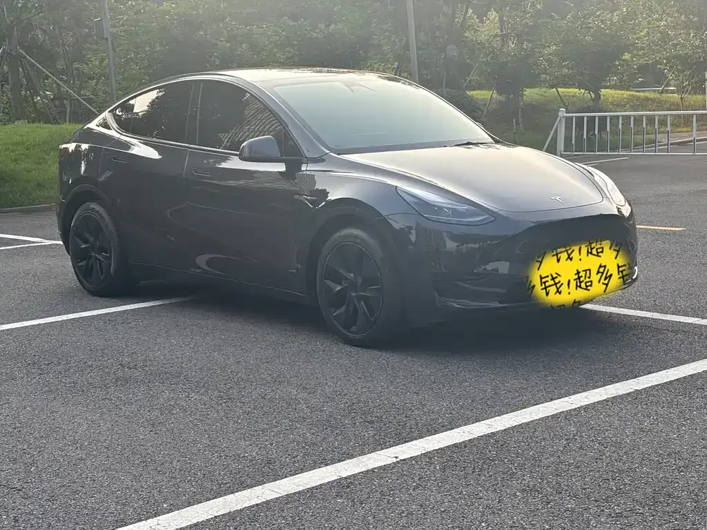 Tesla Model Y — фото 9