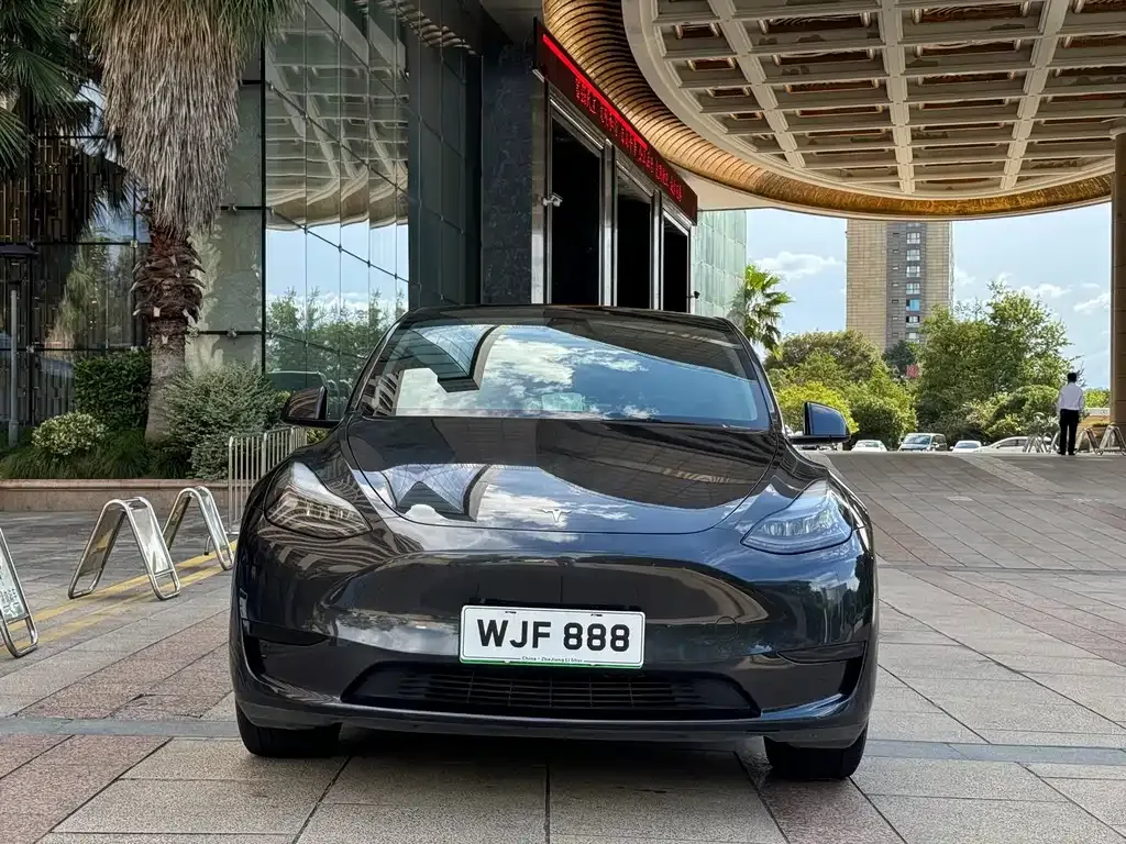 Tesla Model Y — фото 8