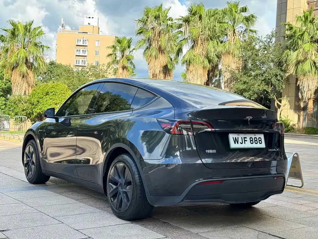 Tesla Model Y — фото 5