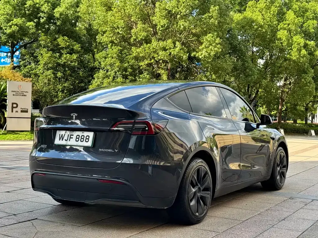 Tesla Model Y — фото 6