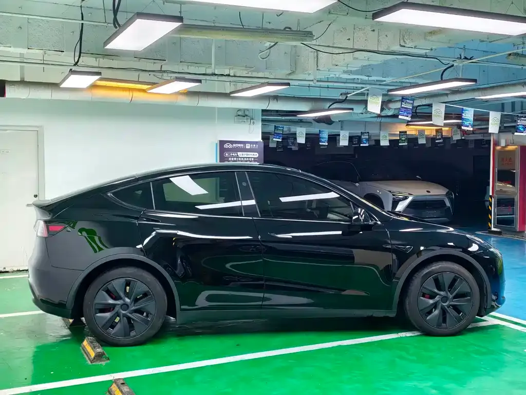 Tesla Model Y — фото 10